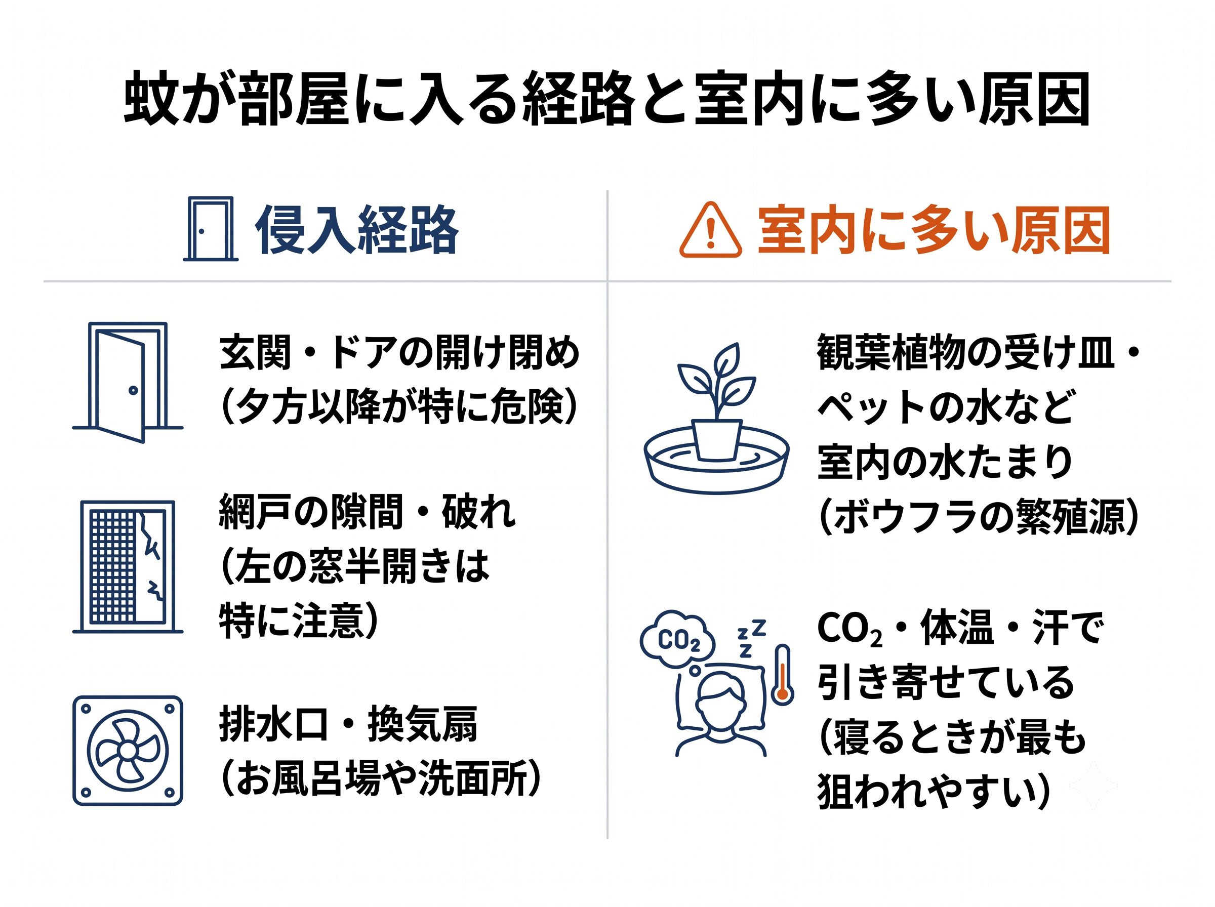 蚊が部屋に入る3つの経路と室内に多い原因を示した図解