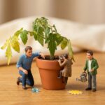 観葉植物がすぐ枯れる原因と対策【水やりと置き場所のよくある失敗】