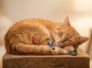 猫の毛並みの上でくつろぐミニチュア人形のゴロゴロイメージ