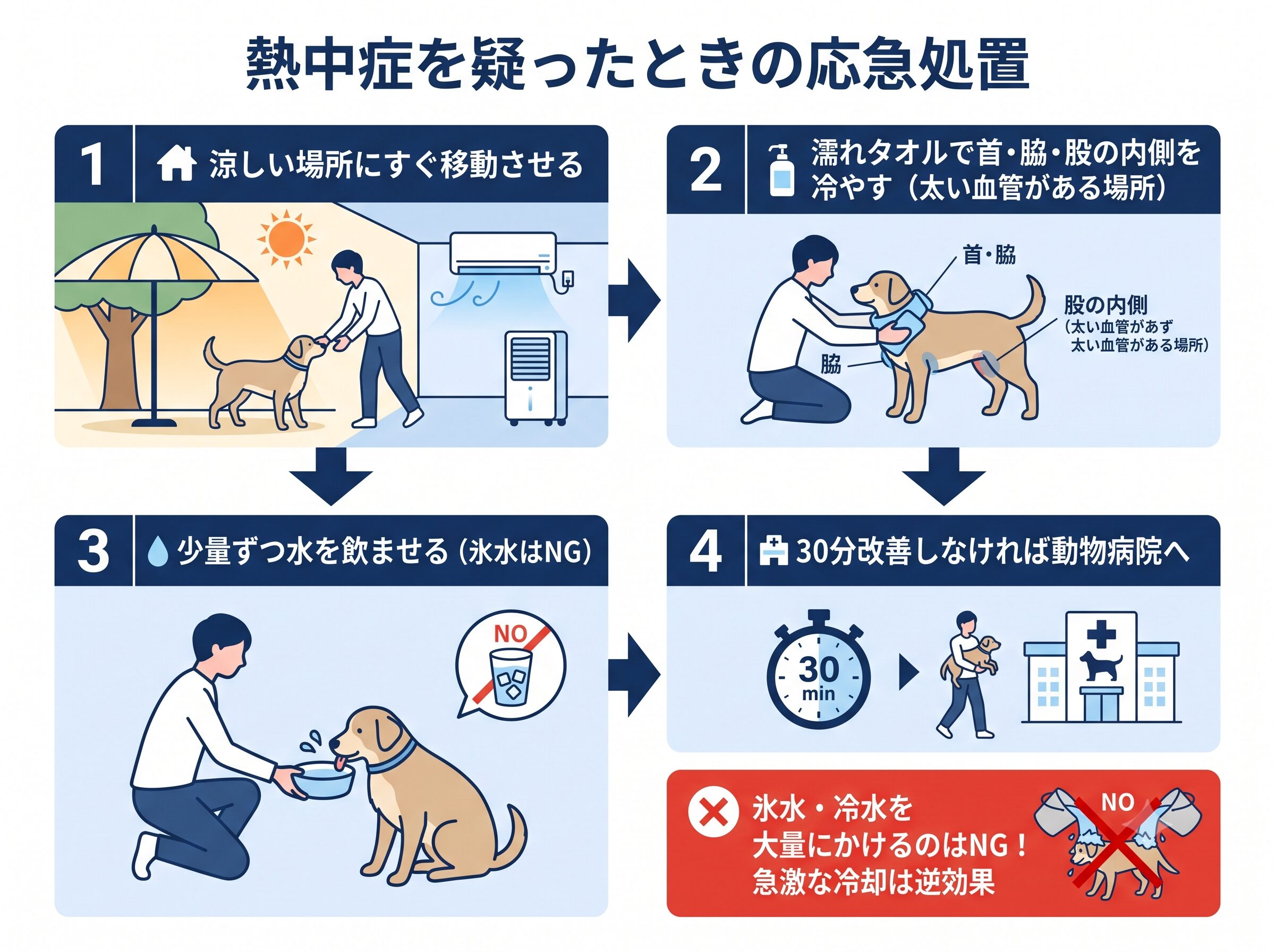 ペットの熱中症を疑ったときの応急処置4ステップのフロー図解