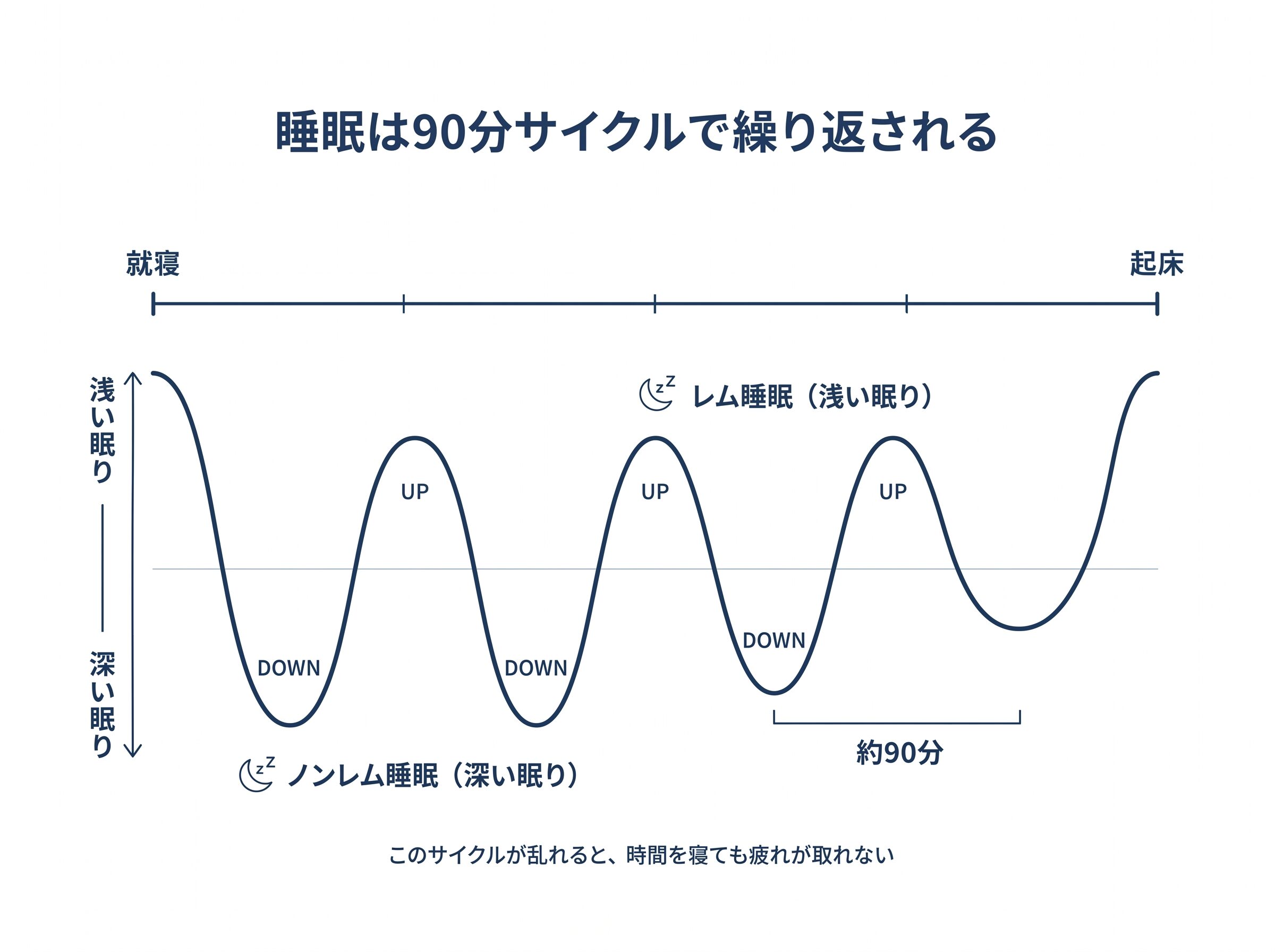 睡眠の90分サイクル(レム睡眠・ノンレム睡眠)の図解