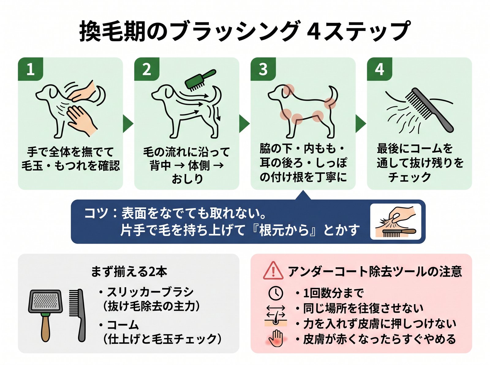 換毛期のブラッシング4ステップと道具の選び方、アンダーコート除去ツールの注意点を示した図解