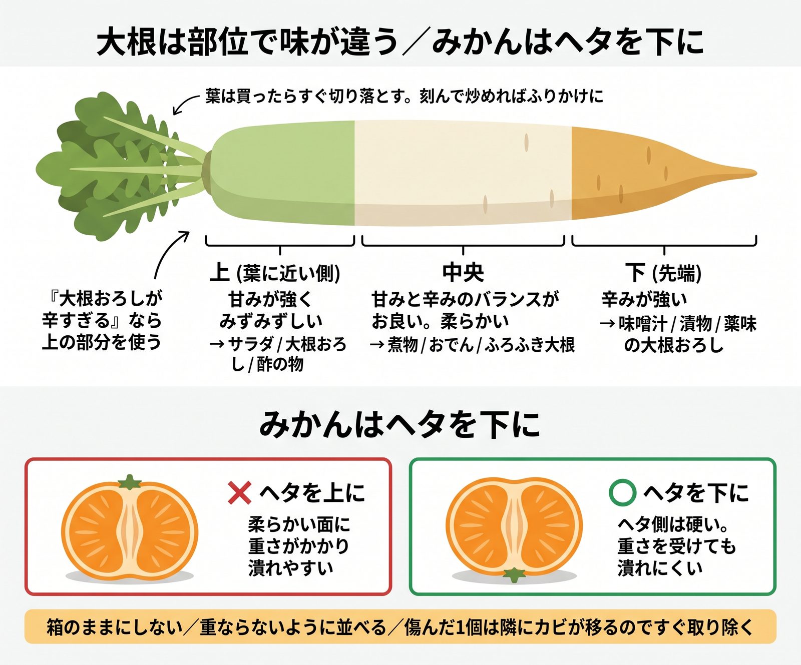 大根の部位ごとの味の違いと向いている料理、みかんはヘタを下にして置く理由を示した図解