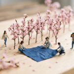 お花見で満開を外さない【開花からの日数と場所取りのルール】