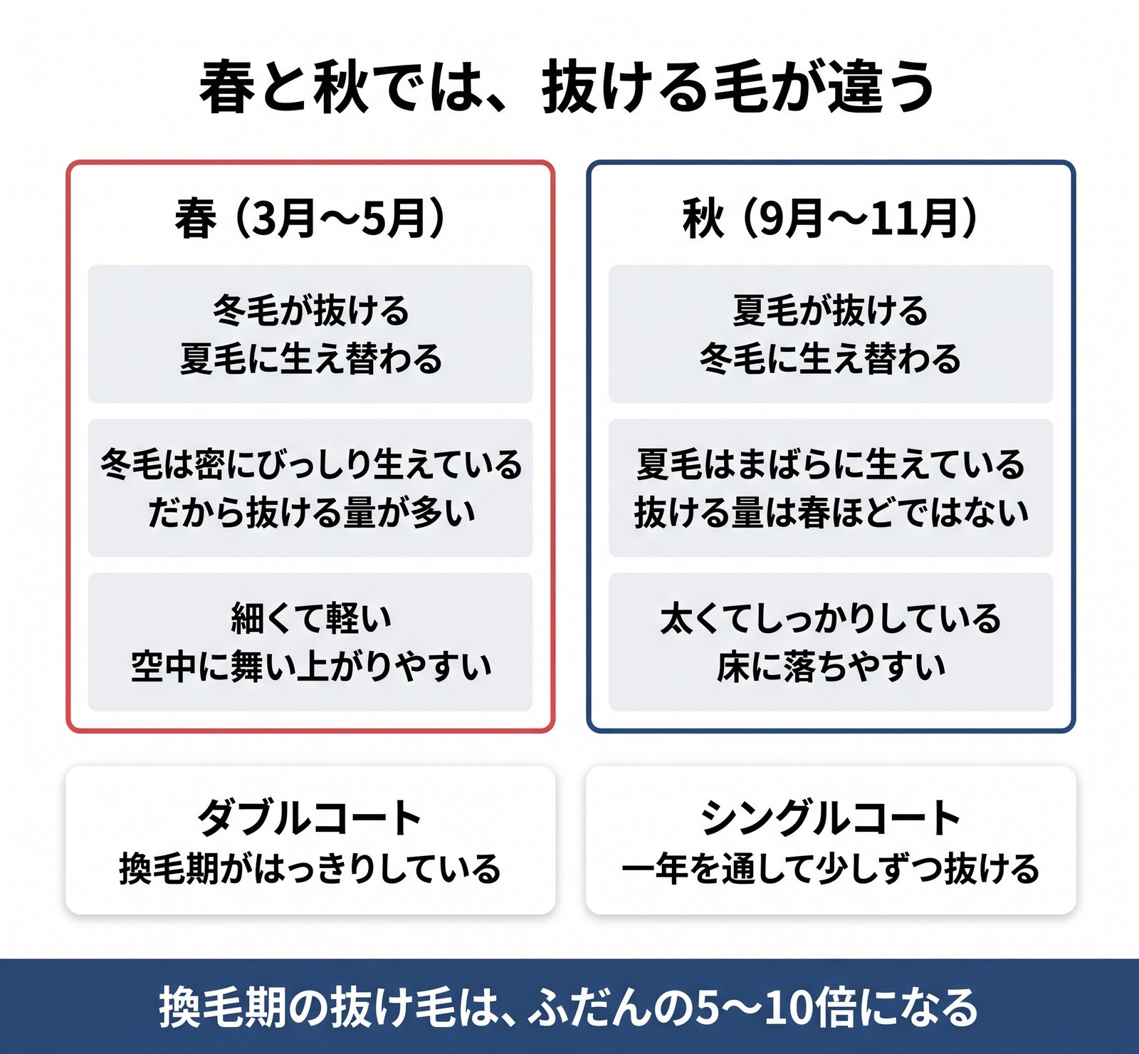 春と秋で抜ける毛の違いと、ダブルコートとシングルコートの差をまとめた図解