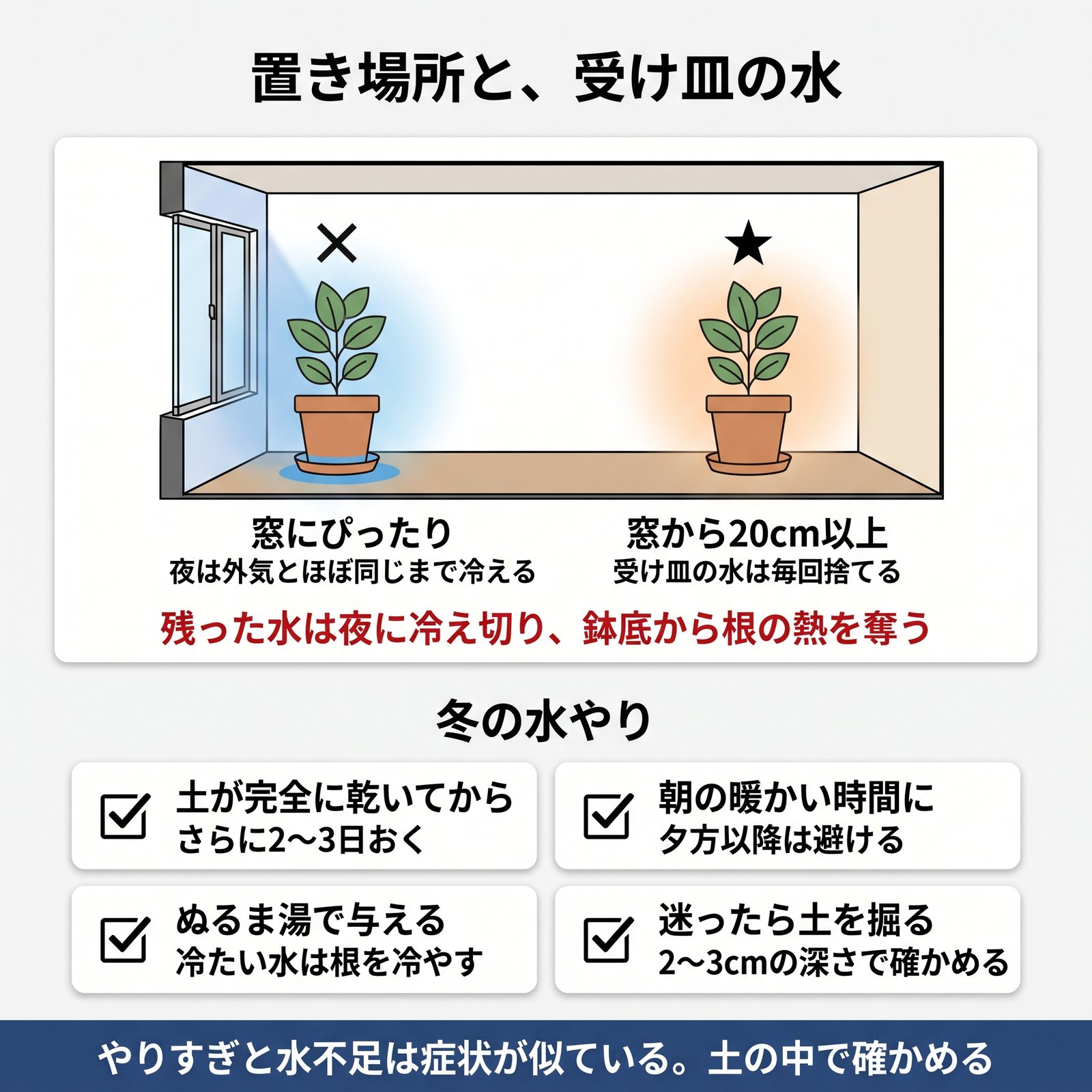 窓際と室内側で鉢の置き場所を比べ、受け皿の水と冬の水やりの手順をまとめた図解