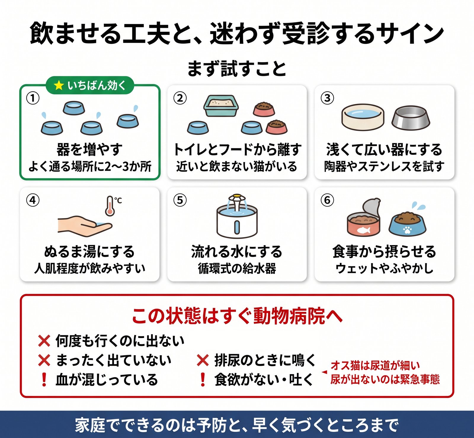 猫に水を飲ませる6つの工夫と、すぐに動物病院へ行くべきサインをまとめた図解