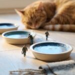猫が冬に水を飲まない【飲水量の目安と尿路結石を防ぐ工夫】
