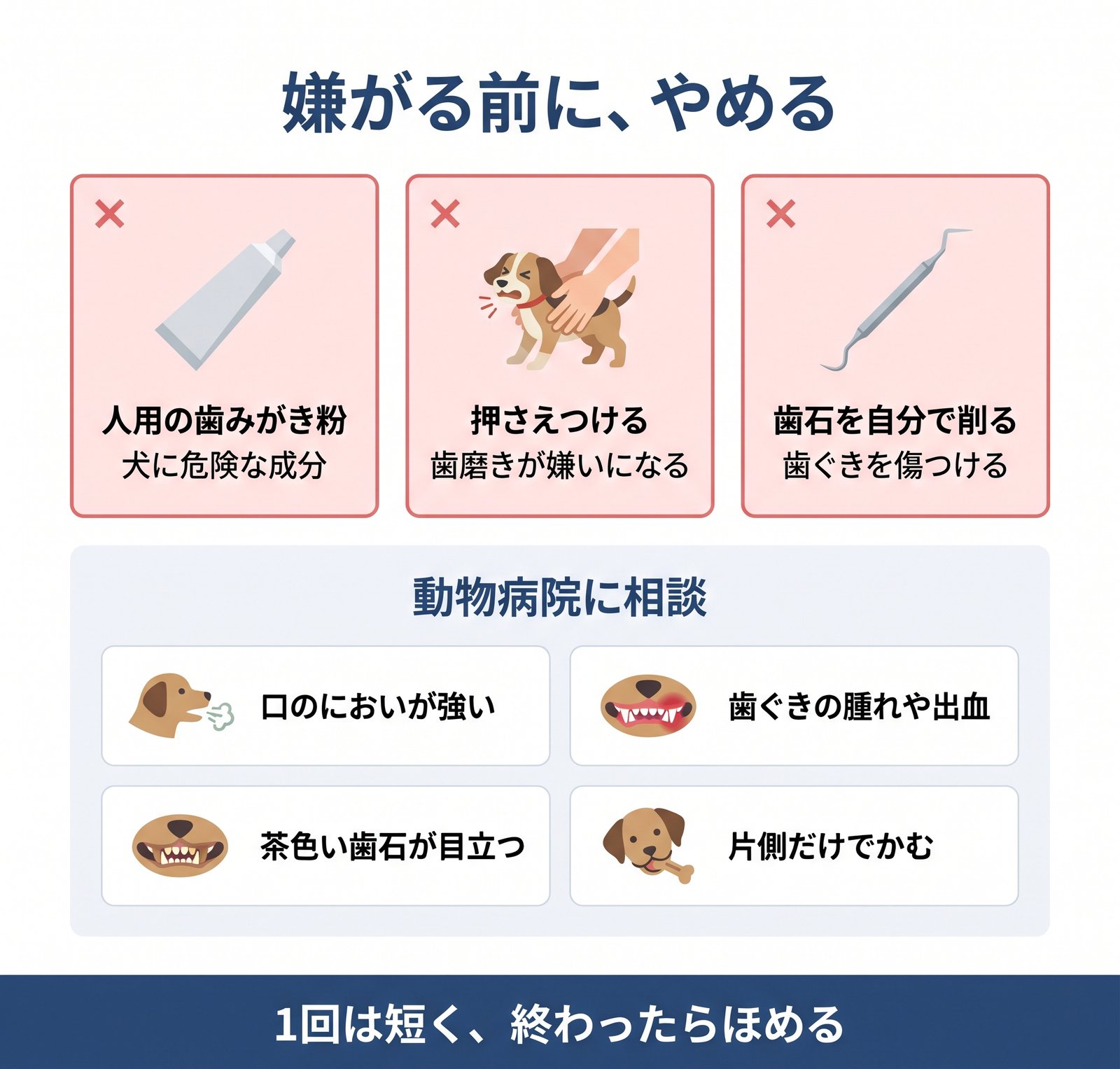 犬の歯磨きでやってはいけない3つのことと、動物病院に相談したい4つのサインをまとめた図解