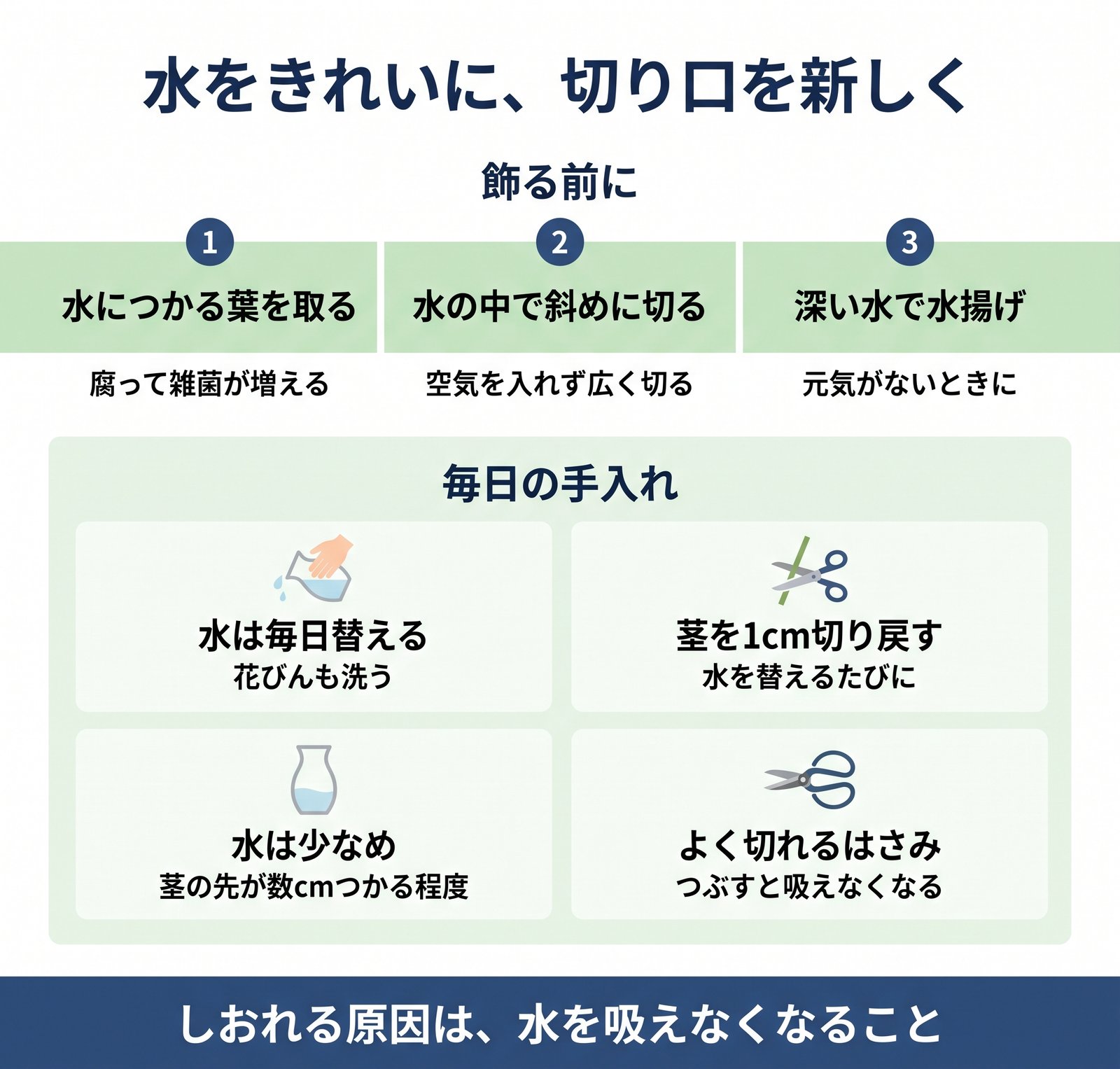 切り花を飾る前にやる3つのことと、毎日の手入れ4つをまとめた図解