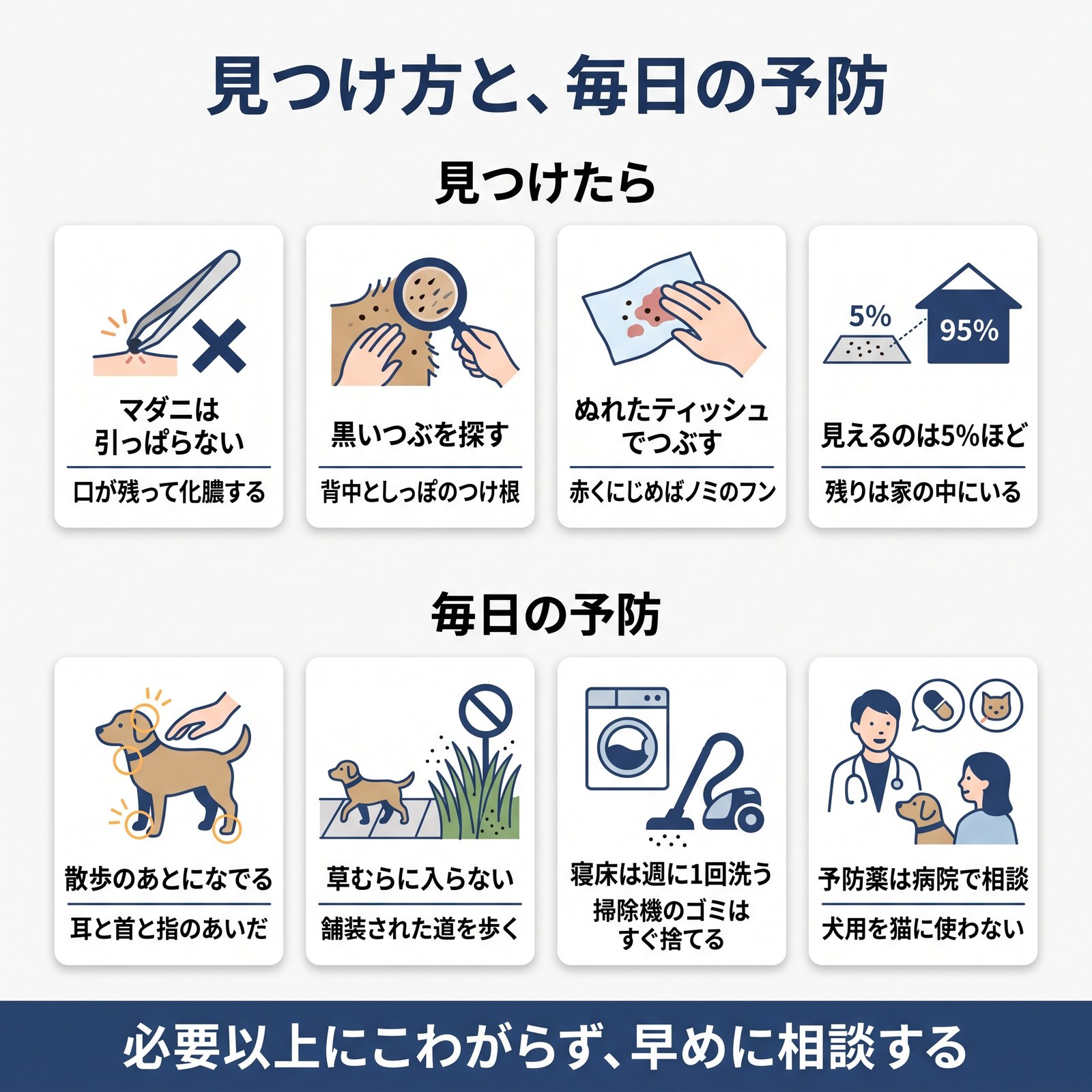 ノミやマダニを見つけたときの対処と、毎日できる予防をまとめた図解