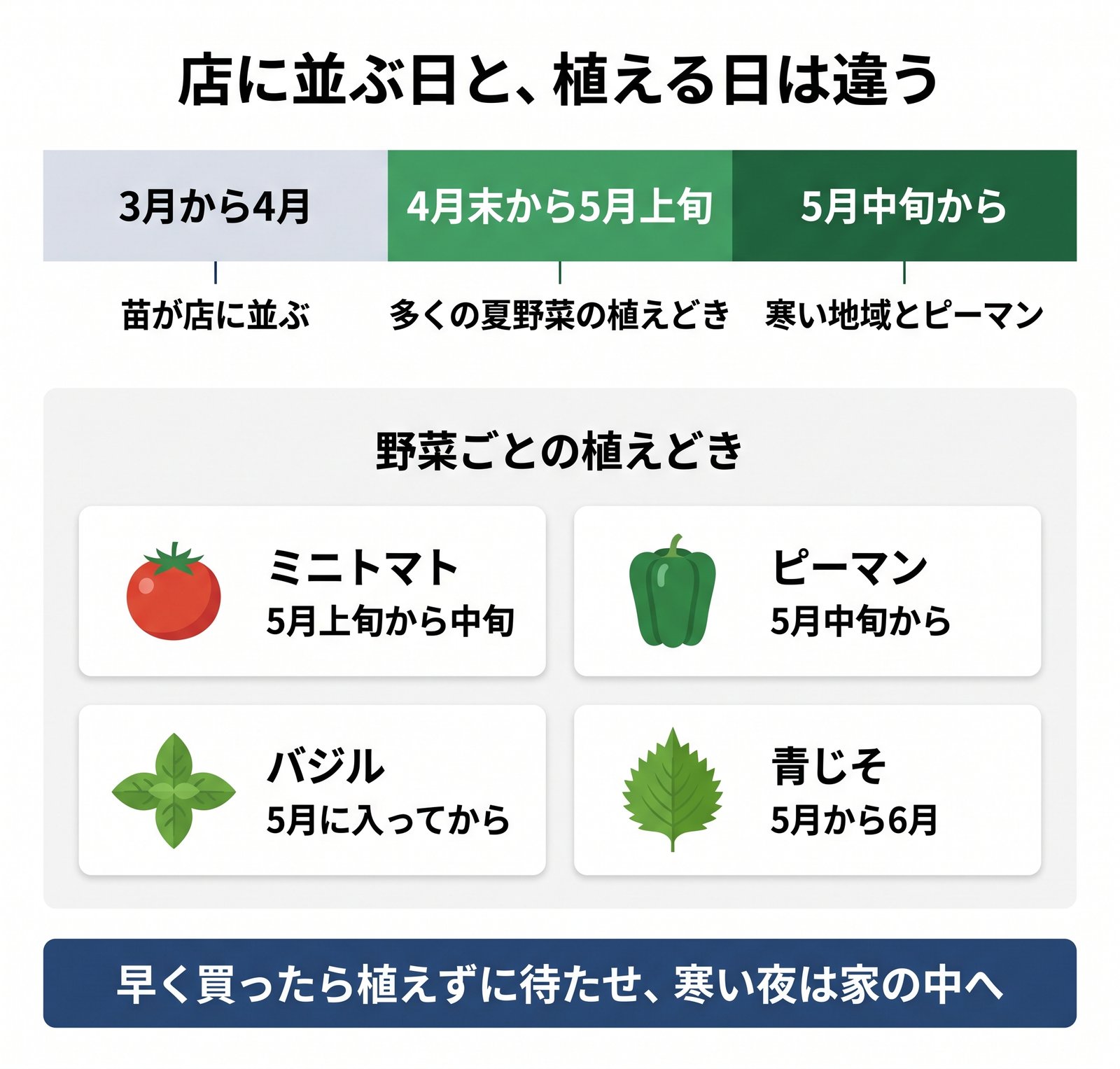 夏野菜の苗が店に並ぶ時期と植えどきの違い、野菜ごとの植え付け時期をまとめた図解