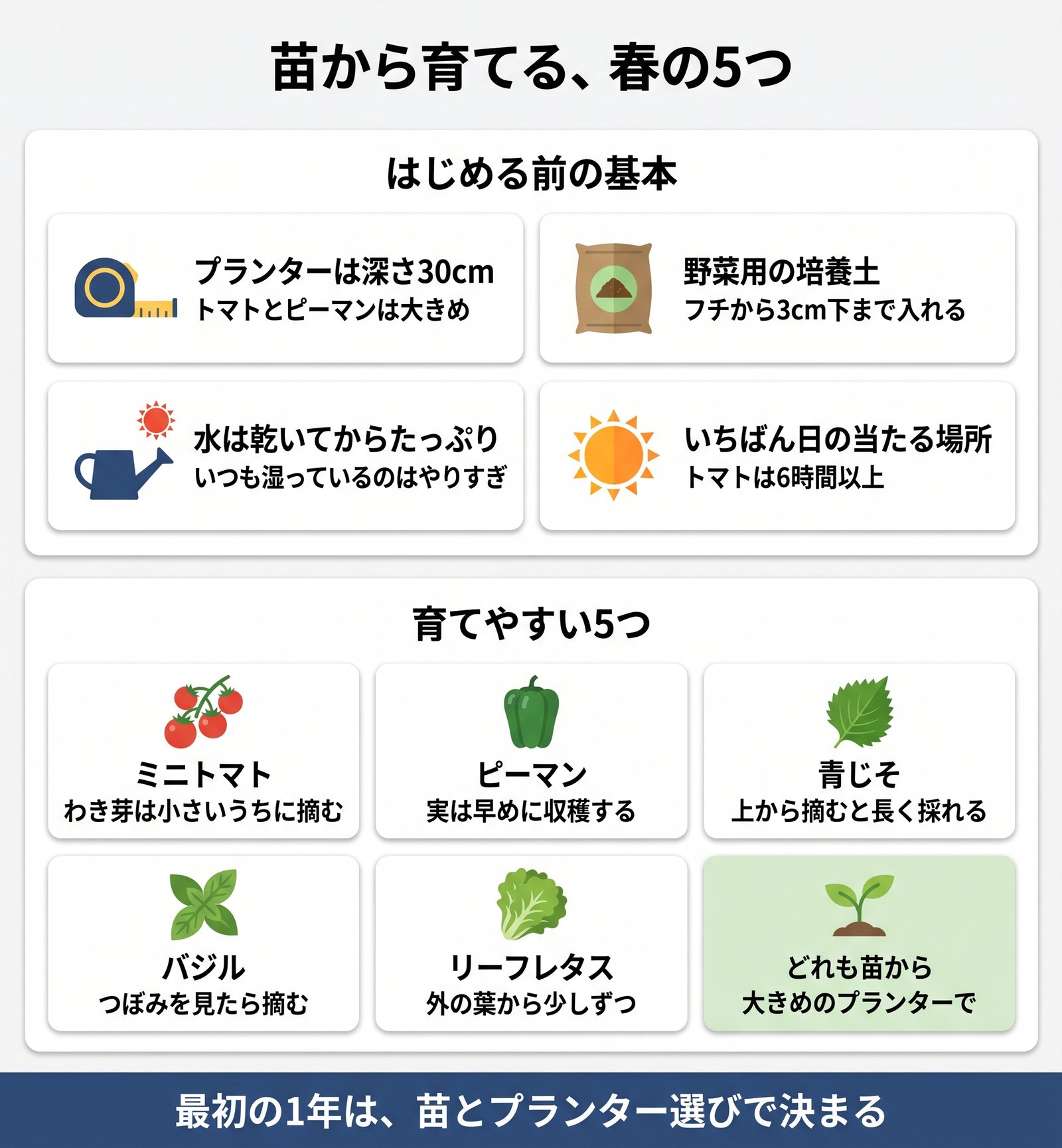プランター菜園を始める前の基本4つと、苗から育てやすい野菜5つをまとめた図解