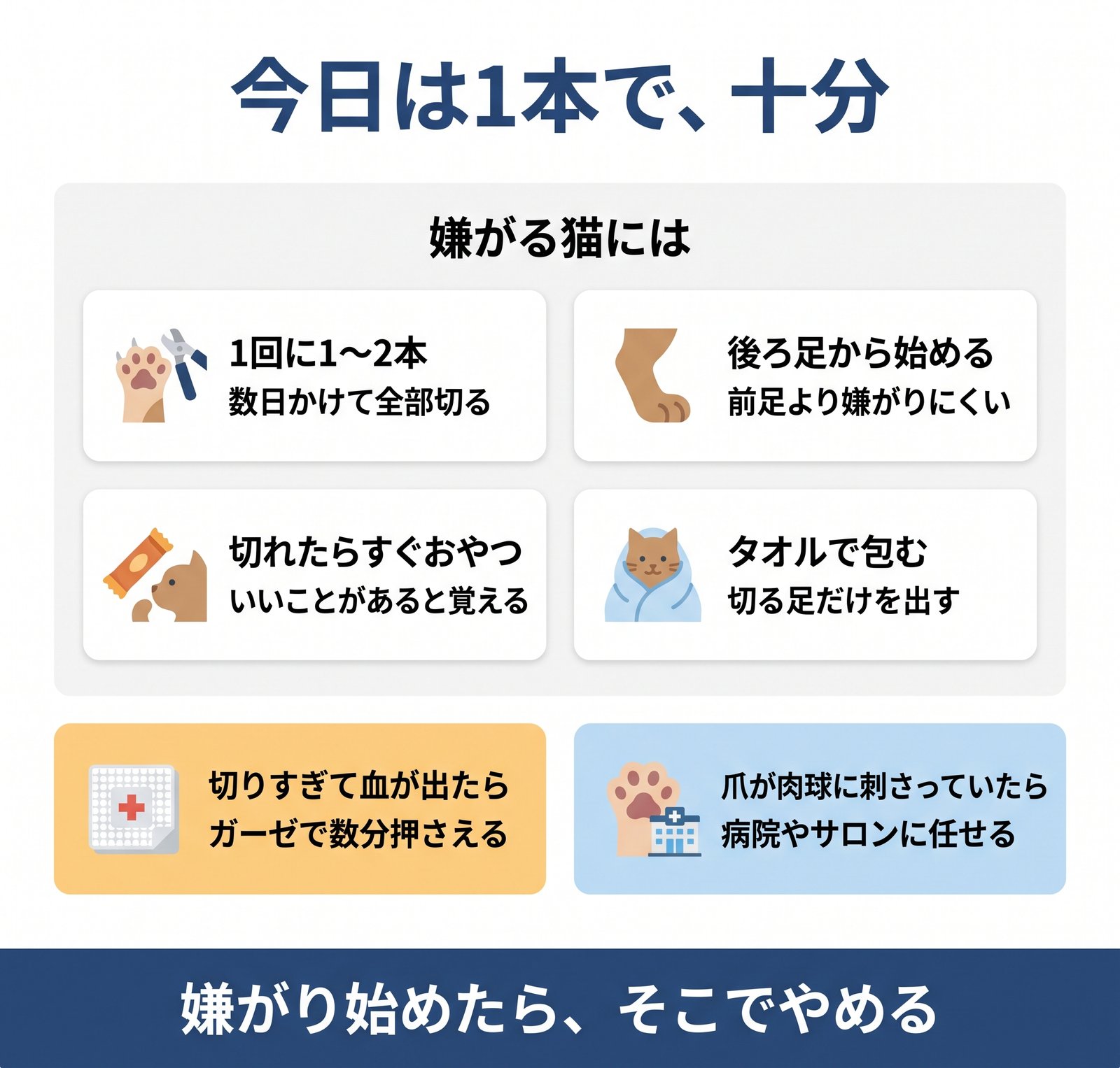 爪切りを嫌がる猫への工夫4つと、切りすぎて血が出たときや病院に任せるときをまとめた図解