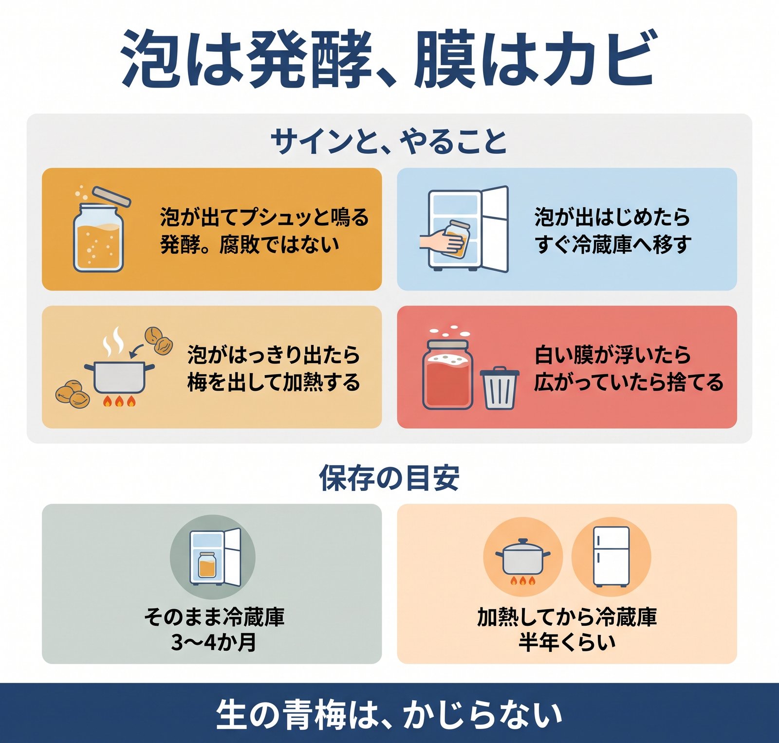 梅シロップの発酵とカビのサイン、そのときにやることと保存の目安をまとめた図解
